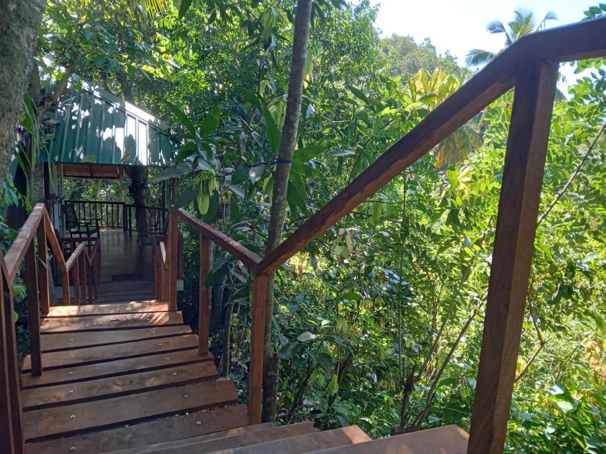 Cinnamon View Lodge Mirissa Zewnętrze zdjęcie