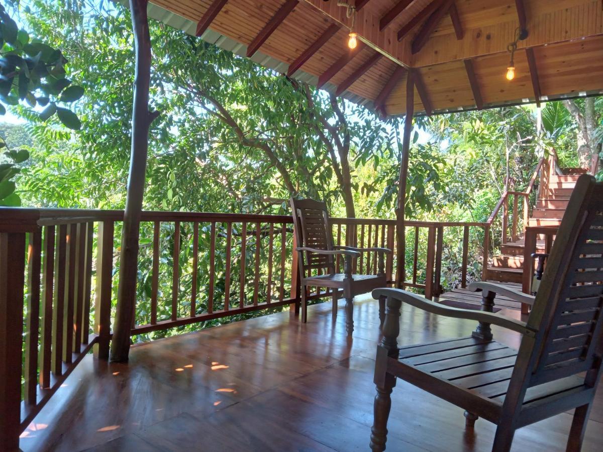 Cinnamon View Lodge Mirissa Zewnętrze zdjęcie