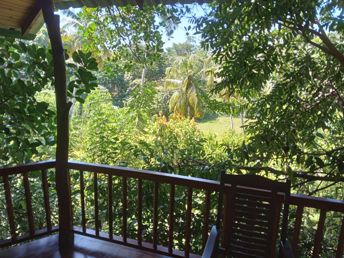 Cinnamon View Lodge Mirissa Zewnętrze zdjęcie