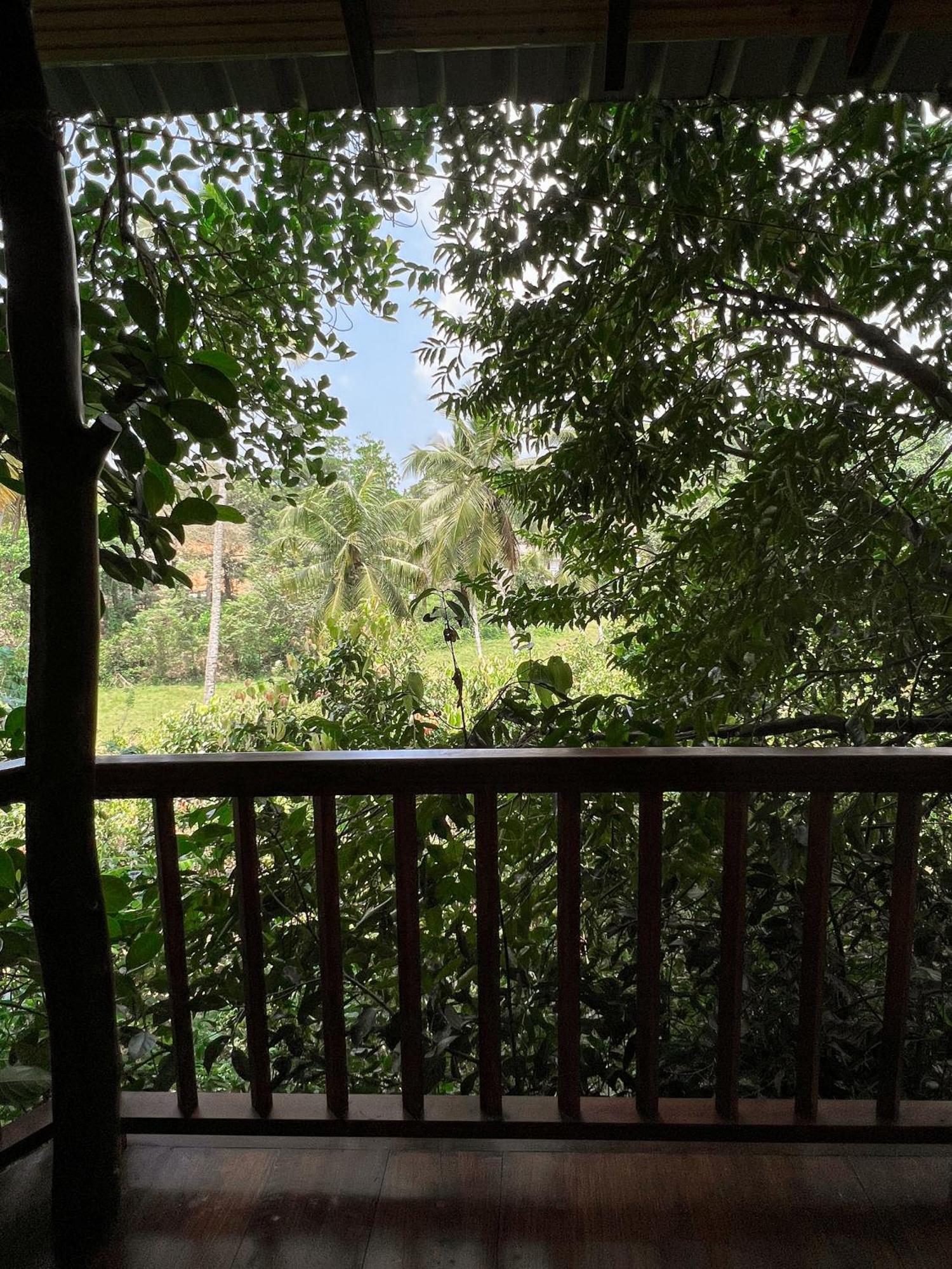 Cinnamon View Lodge Mirissa Pokój zdjęcie