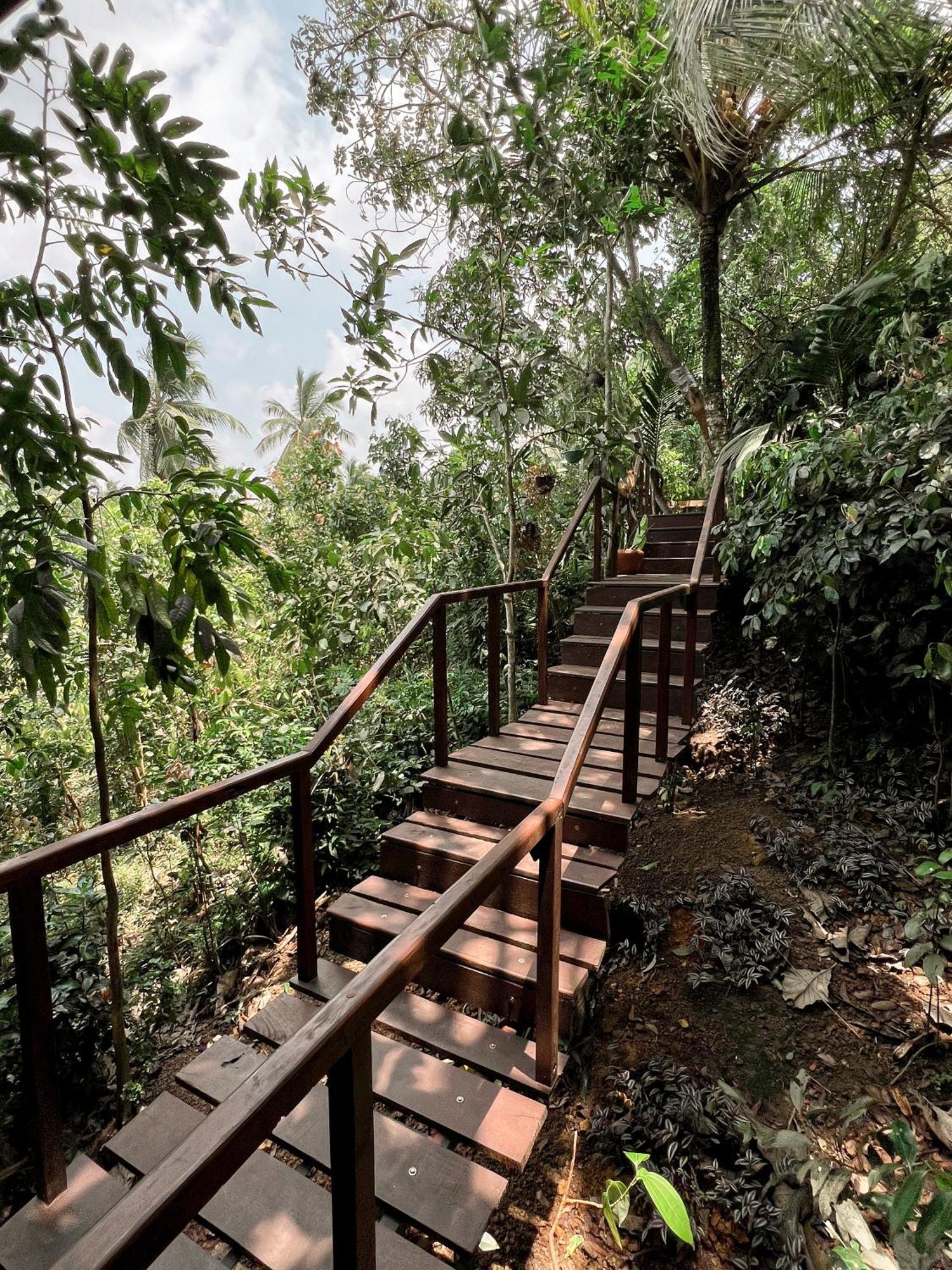 Cinnamon View Lodge Mirissa Pokój zdjęcie